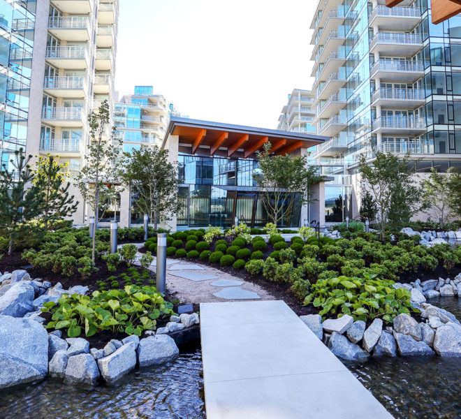 River-Green_Credit-River-Green-Community